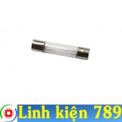  Cầu chì 20A 250V 6x30mm